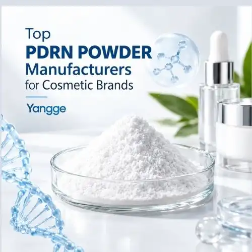Top PDRN Powder Manufacturers for Cosmetic Brands - Yangge
